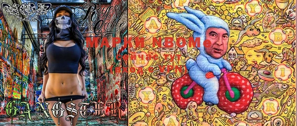 PSILOCYBIN Медногорск