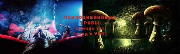 гидропоника Медвежьегорск