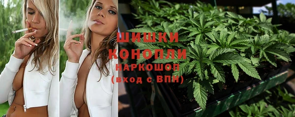 PSILOCYBIN Медногорск