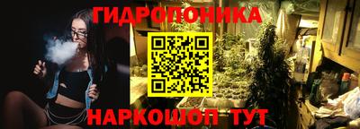 прущие грибы Гусев