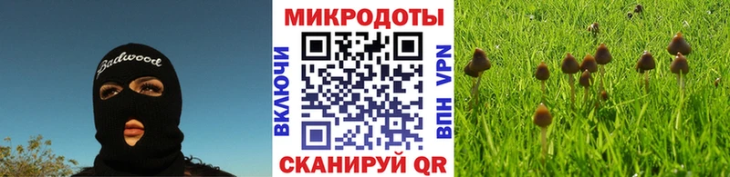 Галлюциногенные грибы прущие грибы  Новый Уренгой 
