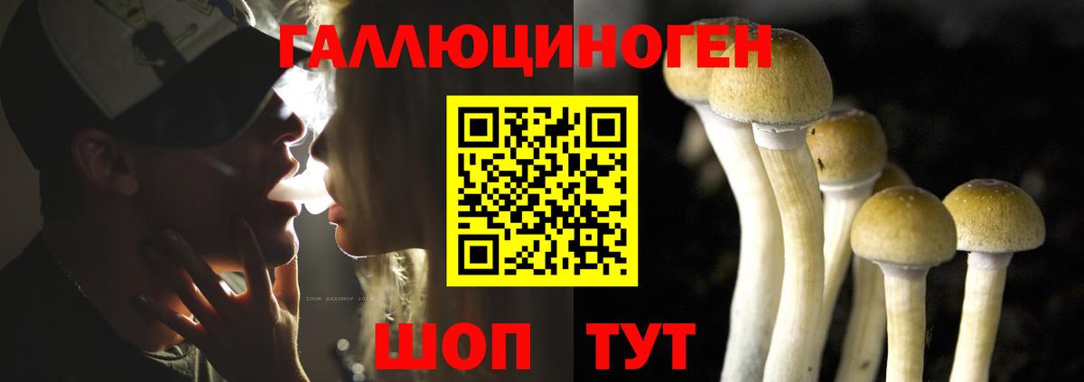 Галлюциногенные грибы мухоморы  Вход с VPN  Новый Уренгой 